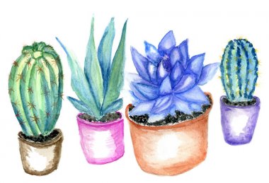 Kaktüsler suluboya resim