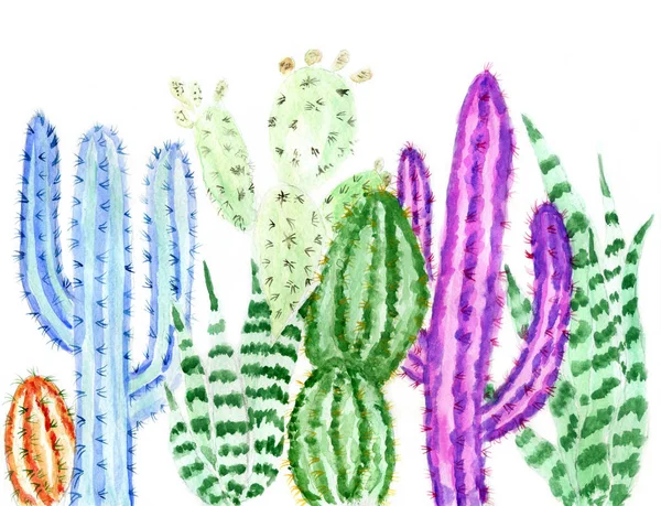 Cacti watercolor art — Stock Photo, Image