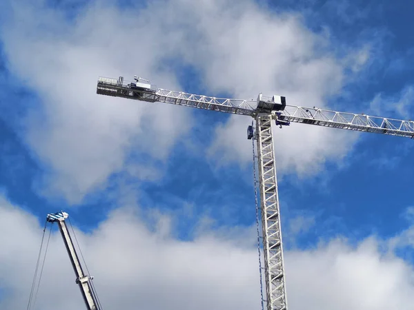 Kraniche Arbeiten Sie Stehen Einem Blauen Himmel Mit Wolken Horizontaler — Stockfoto