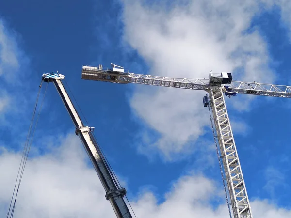 Kraniche Arbeiten Sie Stehen Einem Blauen Himmel Mit Wolken Horizontaler — Stockfoto