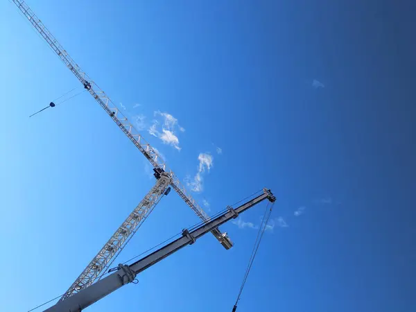 Kraniche Arbeiten Sie Stehen Einem Blauen Himmel Mit Wolken Horizontaler — Stockfoto