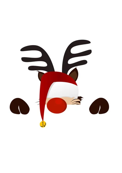 Reindeer Looks Christmas Time — Stock Photo, Image