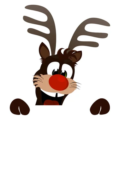 Reindeer Looks Christmas Time — Stock Photo, Image