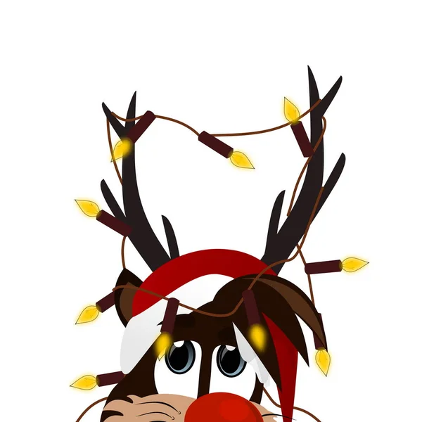 Reindeer Christmas Time — Stock Photo, Image