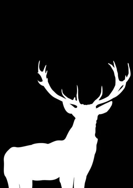 Antlers Big Deer — Stock Photo, Image