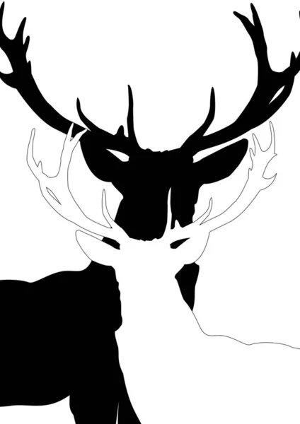 Antlers Big Deer — Stock Photo, Image