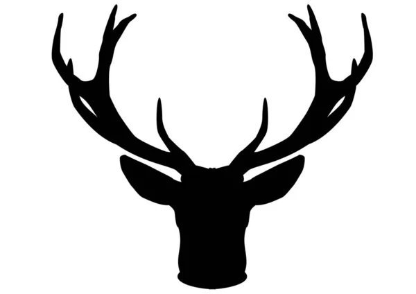 Antlers Big Deer — Stock Photo, Image