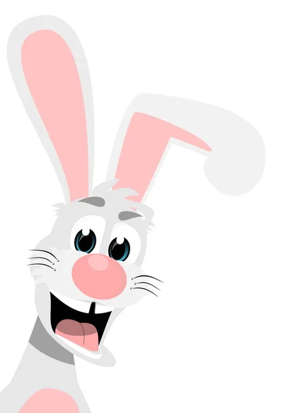 Liten Lycklig Kanin Färg — Stockfoto