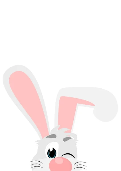 Little Happy Rabbit Color — Stock Photo, Image