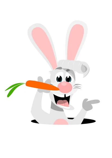 Little Happy Rabbit Color — Stock Photo, Image