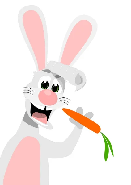 Little Happy Rabbit Color — Stock Photo, Image