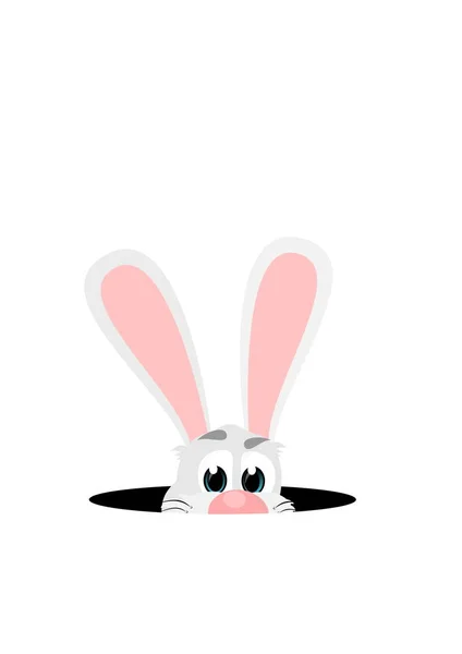 Kleines Glückliches Kaninchen Farbe — Stockfoto
