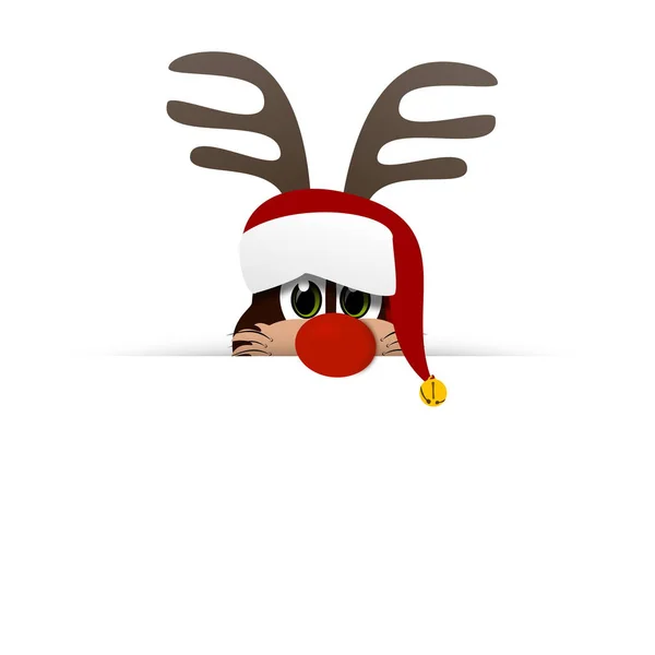 Reindeer Christmas Time — Stock Photo, Image