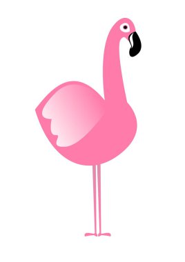 Pembe bir flamingo bu şekilde duruyor..