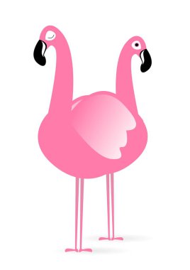 Pembe bir flamingo bu şekilde duruyor..