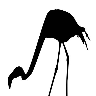 Pembe bir flamingo bu şekilde duruyor..