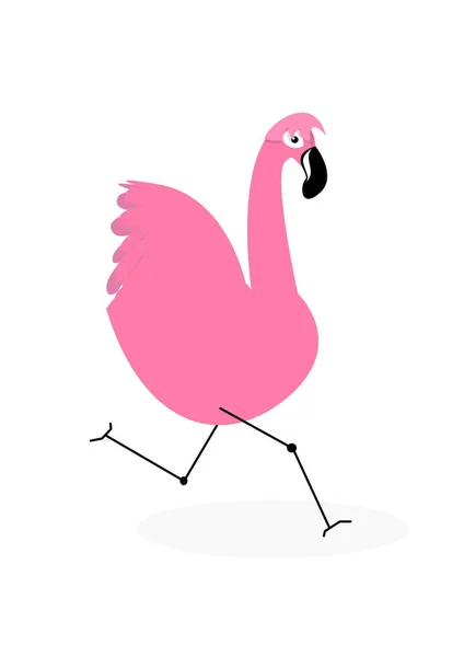 Rosa Flamingo Står Här — Stockfoto