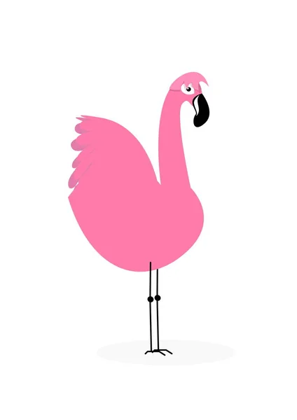 Een Roze Flamingo Staat Hier — Stockfoto