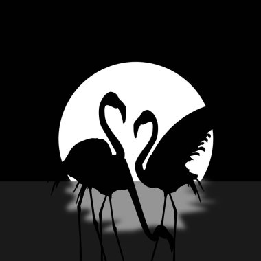 Günbatımında flamingo