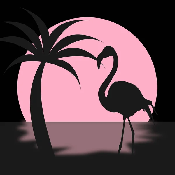 Flamingo Bij Zonsondergang — Stockfoto