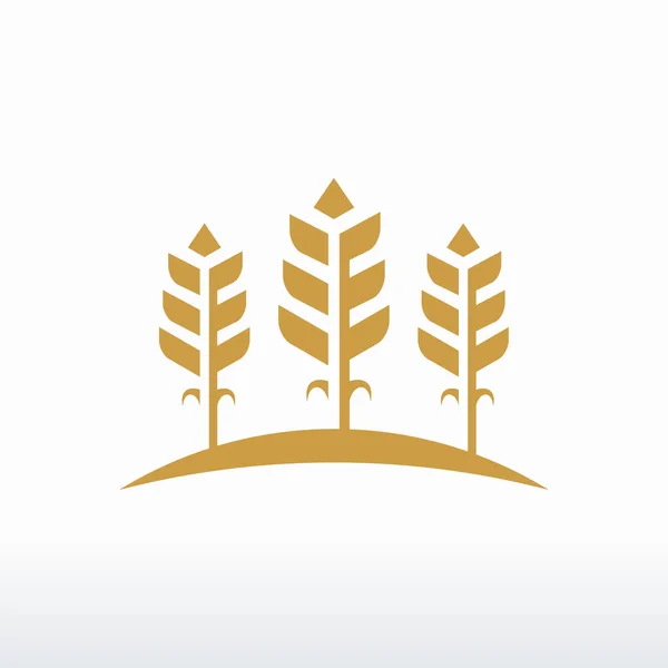 Lujo grano trigo logo concepto, Agricultura trigo Logo Plantilla vector icono — Vector de stock