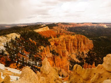 Ağaçlar ve Hoodoos Bryce Canyon