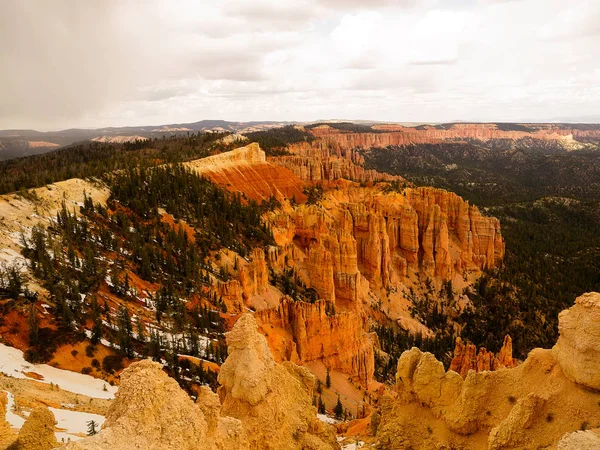 Bäume und Hoodoos bryce Canyon — Stockfoto