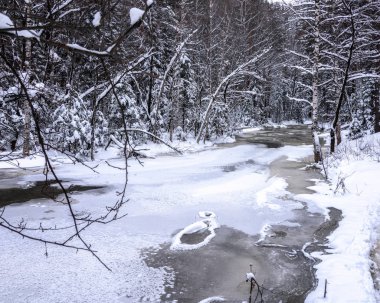 Donmuş küçük bir nehir. Ağaçlarla kaplı kıyılar
