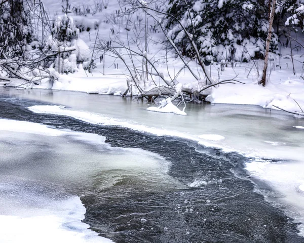 Παγωμένο Μικρό Ποτάμι Τράπεζες Δέντρα Καλυμμένα Χιόνι — Φωτογραφία Αρχείου