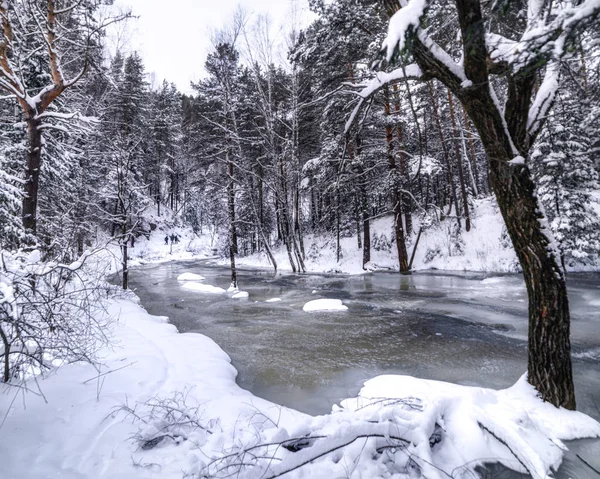 Congelar Rio Pequeno Bancos Com Árvores Cobertas Neve — Fotografia de Stock