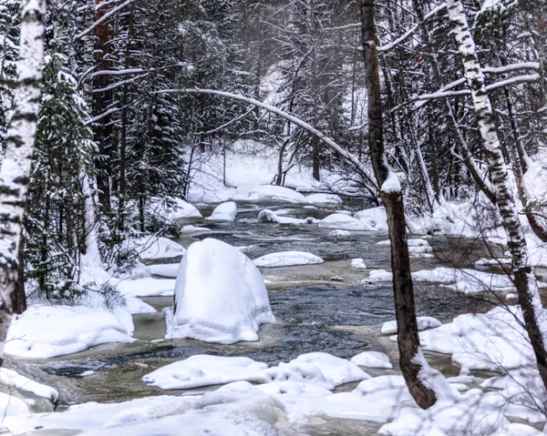 얼어붙은 눈으로 나무들로 뒤덮인 — 스톡 사진