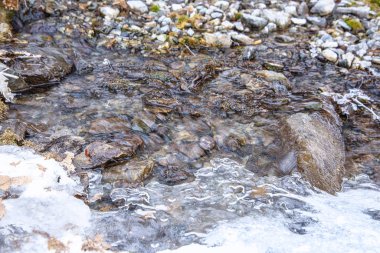 Küçük bir dere kışın kayalar arasında akar, kısmen ince buzla kaplıdır.