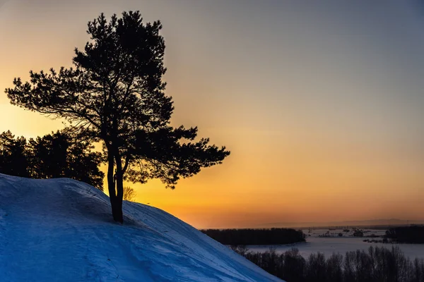 Ένα Μοναχικό Δέντρο Ένα Χιονισμένο Λόφο Στον Ουρανό Του Ηλιοβασιλέματος — Φωτογραφία Αρχείου