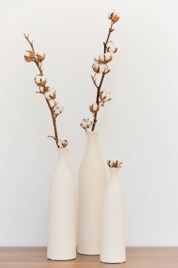 Dekoratif pamuk fotoğraf