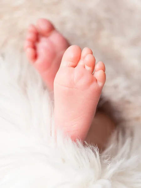 Picioare pentru copii în pătură caldă — Fotografie, imagine de stoc