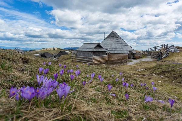 Velika planina, Slovenien — Stockfoto