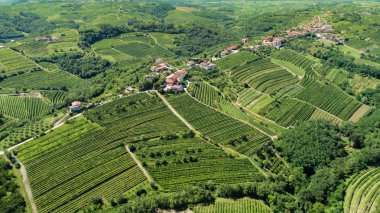 Goriska Brda yukarıdan