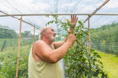 Kendi ev bahçe gerçek çiftçi