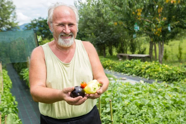 Prawdziwy rolnik w jego własnym domu ogród — Zdjęcie stockowe