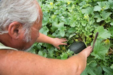 Kendi ev bahçe gerçek çiftçi