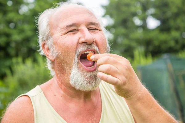 Fazendeiro real em seu próprio jardim de casa — Fotografia de Stock