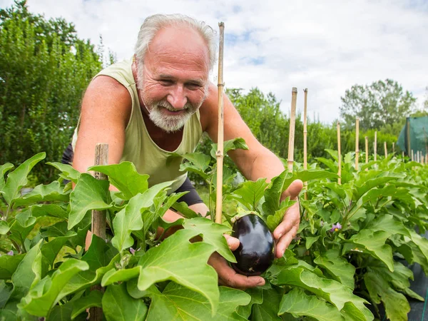 Echte boer in zijn eigen huis Tuin — Stockfoto