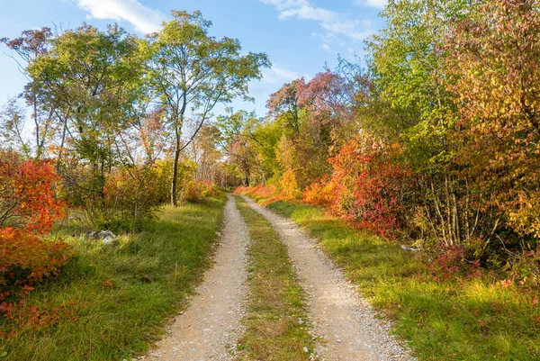 Idyllic path in autumn — Stock Photo, Image