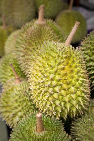 Durian - král ovoce — Stock fotografie