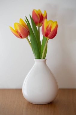 turuncu ve Sarı laleler