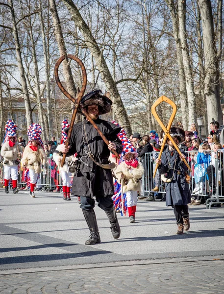 Liubliana Eslovênia Fevereiro 2020 Carnaval Tradicional Dragões Liubliana Com Muitas — Fotografia de Stock