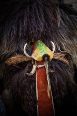 Ljubljana, Slovenya - 22 Şubat 2020: Ljubljana 'da pek çok benzersiz ve geleneksel Sloven karnaval maskeli geleneksel ejderha karnavalı.