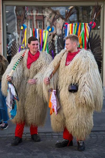 Liubliana Eslovênia Fevereiro 2020 Carnaval Tradicional Dragões Liubliana Com Muitas — Fotografia de Stock