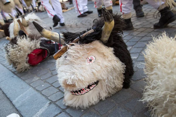 Ljubljana Daki Ejderha Karnavalında Geleneksel Zvonari Maskesi — Stok fotoğraf