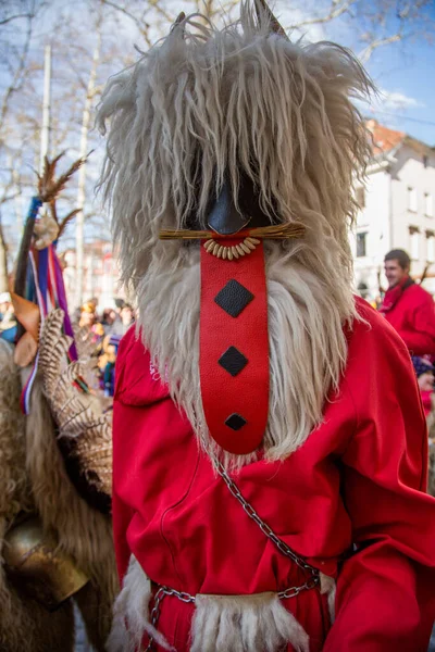 Ljubljana Slovénie Février 2020 Carnaval Dragon Traditionnel Ljubljana Avec Nombreux — Photo